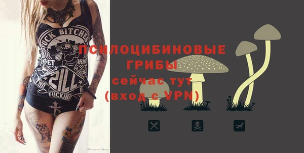 ПСИЛОЦИБИНОВЫЕ ГРИБЫ Осташков