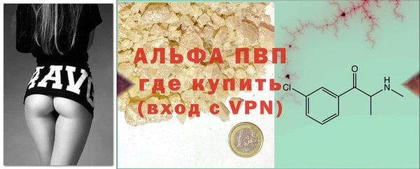 ПСИЛОЦИБИНОВЫЕ ГРИБЫ Осташков
