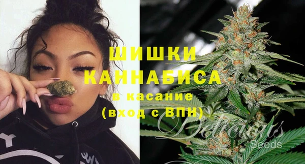 ПСИЛОЦИБИНОВЫЕ ГРИБЫ Осташков
