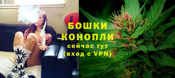 ПСИЛОЦИБИНОВЫЕ ГРИБЫ Осташков