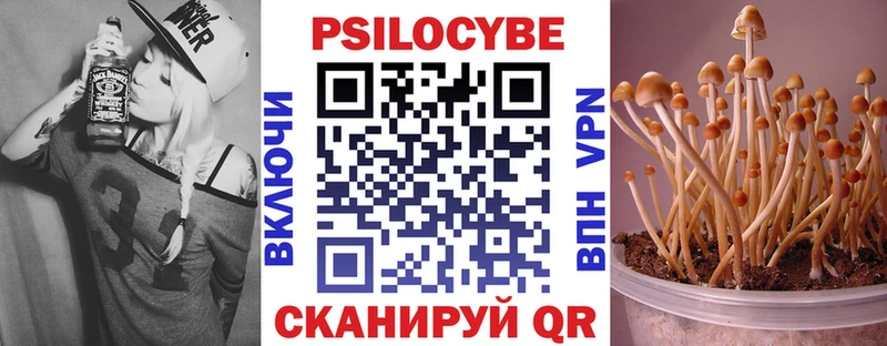 Галлюциногенные грибы Psilocybine cubensis  ОМГ ОМГ как войти  Костомукша 