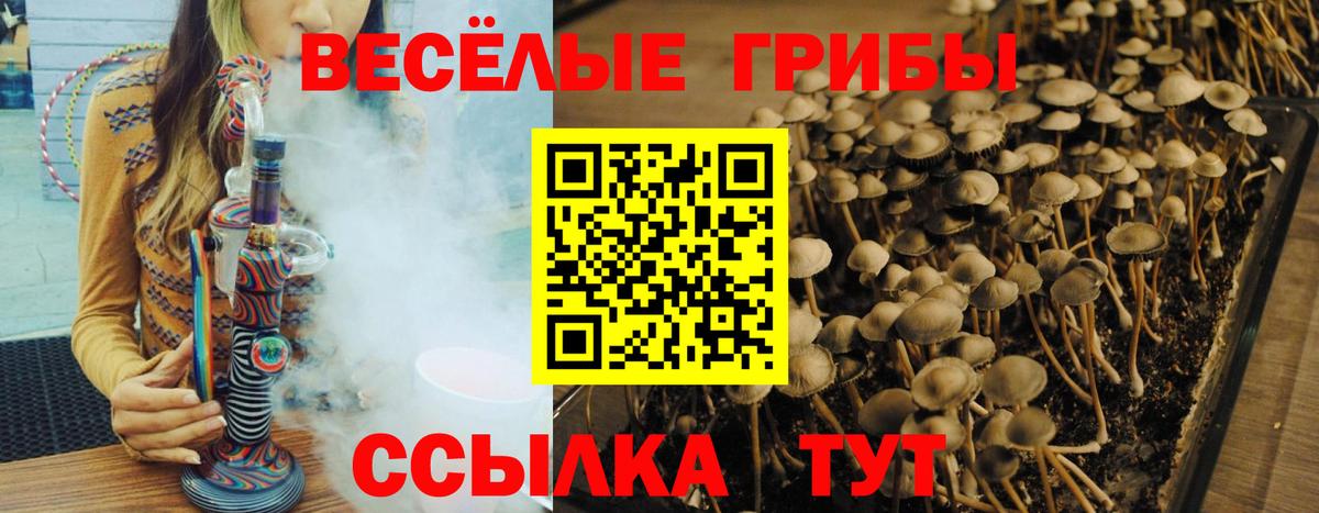 Галлюциногенные грибы GOLDEN TEACHER  Вход с VPN  Костомукша  Псилоцибиновые грибы MAGIC MUSHROOMS 