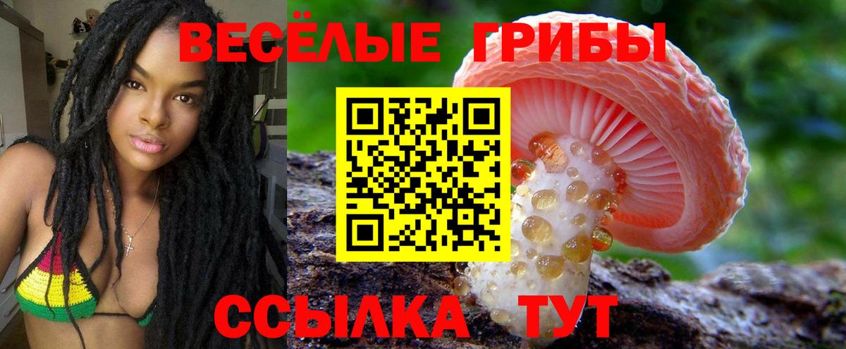 Псилоцибиновые грибы Psilocybe  Костомукша 
