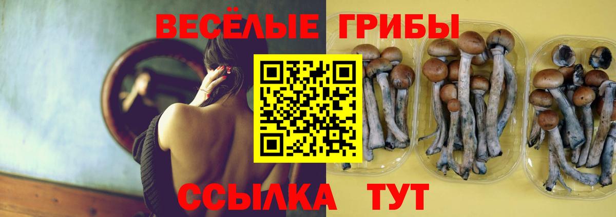 Псилоцибиновые грибы мухоморы Костомукша